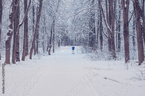 skier on a frosty morning in the city park © ARTPROXIMO