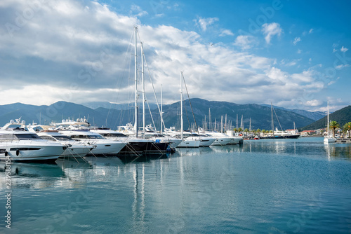 Porto Montenegro with yachts and palms at summer