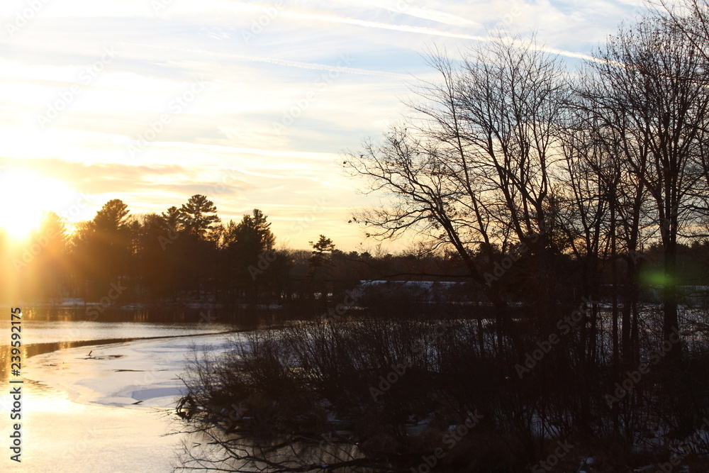 river, light, and trees river, light, and trees