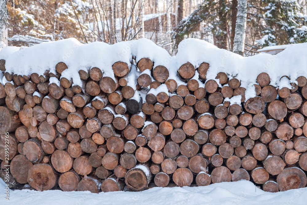 Firewood stacked in piles, covered with snow. cutted trunks in a alpine hut in winter forest Firewood stacked in piles, covered with snow. cutted trunks in a alpine hut in winter forest