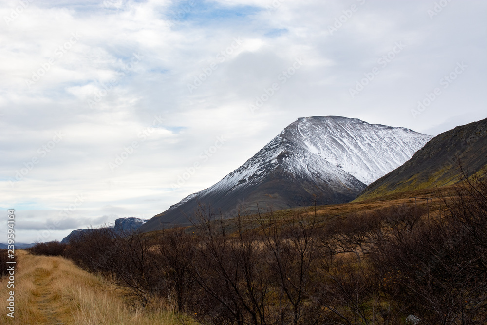 Fototapeta premium 魅力ある雪山