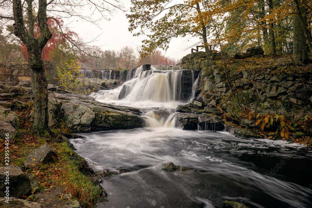 Obraz premium waterfall in forest
