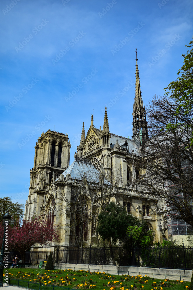 The iconic Cathedral of Notre Dame de Paris on the Ile de la Cite The iconic Cathedral of Notre Dame de Paris on the Ile de la Cite