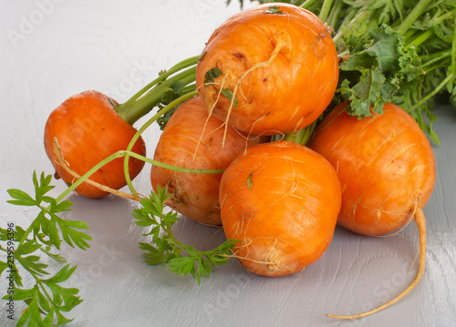 Bunch of Round Carrots  isolated and Closeup on White Backdrop