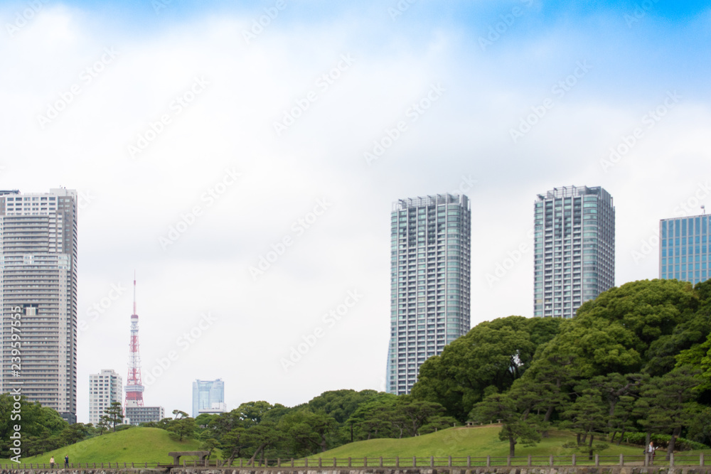 Naklejka premium TOKYO