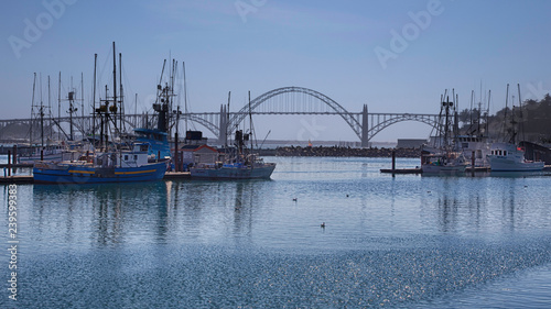 bridge over the yaquina bay