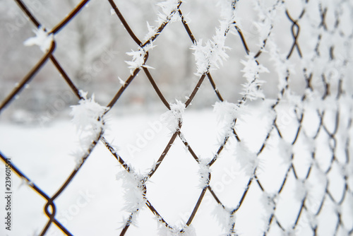Frost on the metal fence 