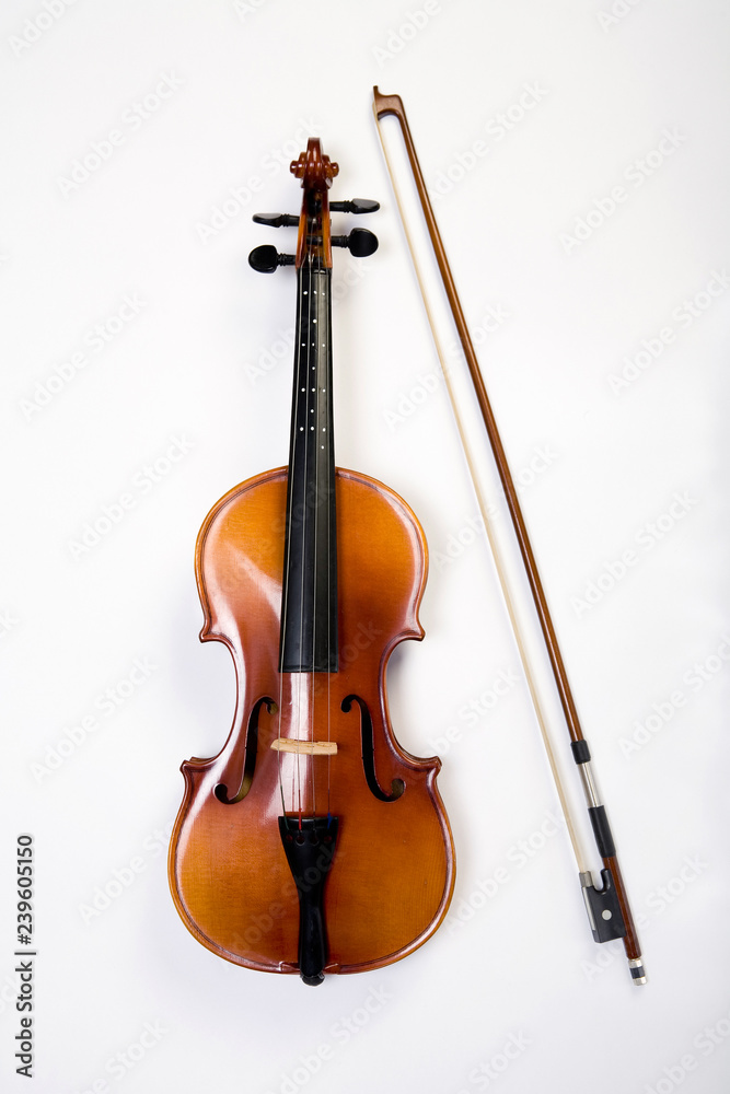 Fototapeta premium Violin on&nbsp;a&nbsp;white&nbsp;background.