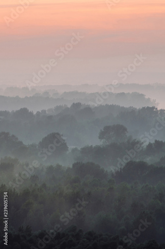 Mystical view from top on forest under haze at early morning. Eerie mist among layers from tree silhouettes in taiga under predawn sky. Morning atmospheric minimalistic landscape of majestic nature. © Daniil