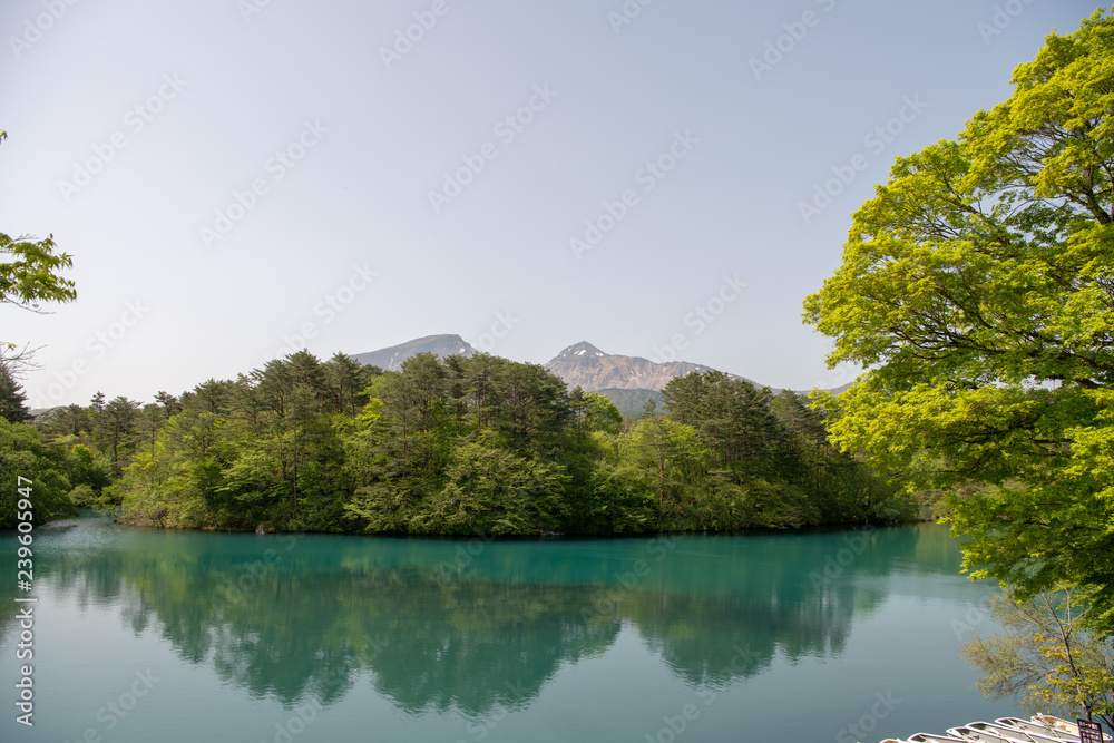 Fototapeta premium Fukushima
