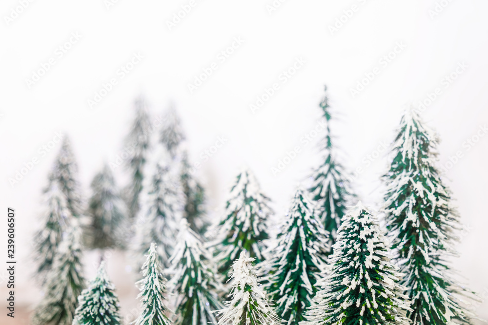 Christmas pine tree in Winter snow decorate for Xmas festival with blur background.