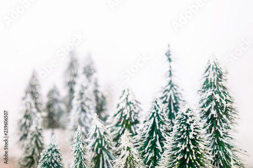Christmas pine tree in Winter snow decorate for Xmas festival with blur background.
