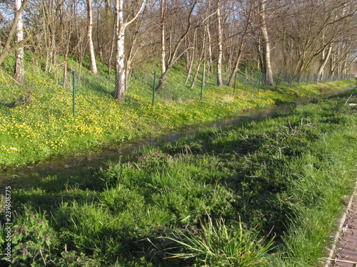 Landschaft mit Fischer und Blumen