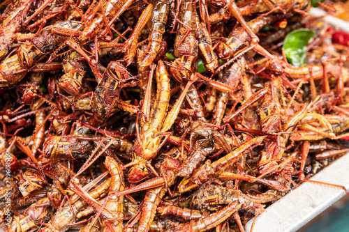 pile of fried bombay locust grasshopper