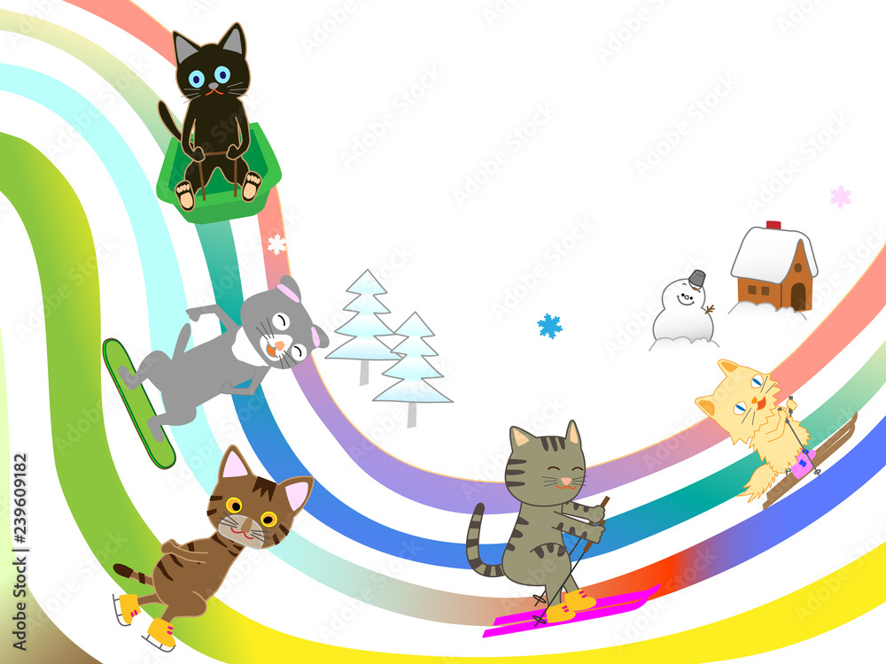Obraz Sporty zimowe dla kotów
