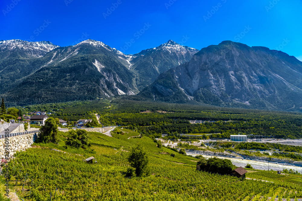Vineyards and river in Swiss Alps mountains valley, Leuk, Visp, Wallis, Valais, Switzerland