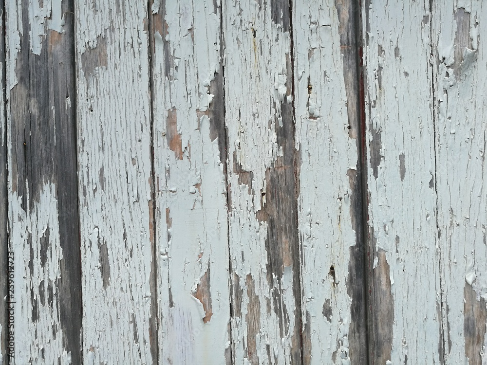 Naklejka premium dav