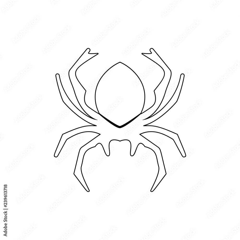 spider icon. Element of insect for mobile concept and web apps icon. Thin line icon for website design and development, app development spider icon. Element of insect for mobile concept and web apps icon. Thin line icon for website design and development, app development