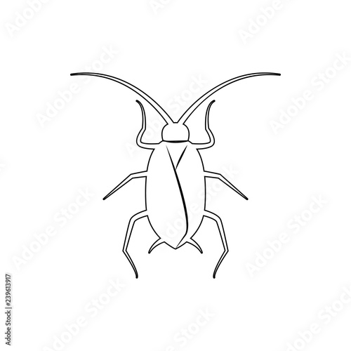 cockroach icon. Element of insect for mobile concept and web apps icon. Thin line icon for website design and development, app development © rashadaliyev
