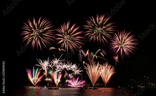 Colorful of fireworks in Happy New Year 2019 holiday festival