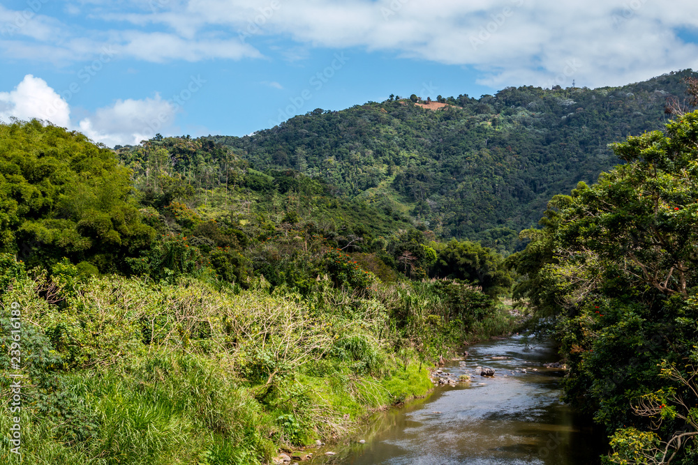 Puerto Rico the Enchanted Isle