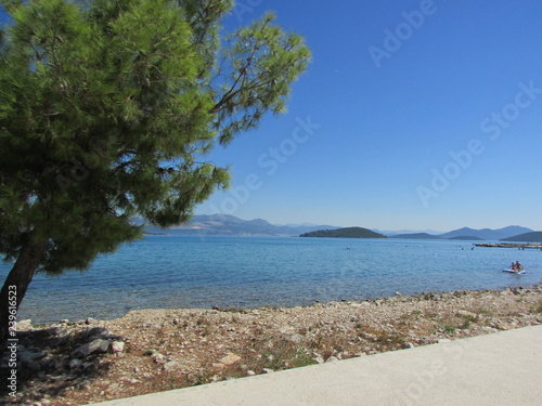 Adriatic sea landscape with pine tree and stone beach  Croatia