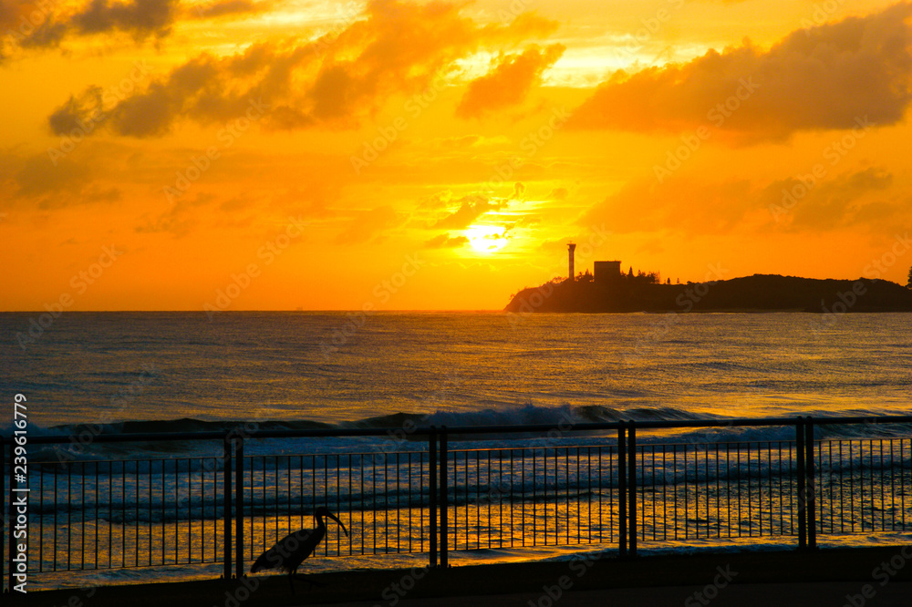 Obraz premium Dawn on Sunshine Coast