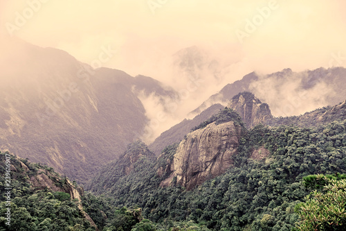 Mountainous Forest Landscape in China