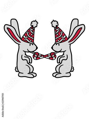 2 freunde team paar hut geburtstag überraschung feiern party hase kaninchen süß niedlich klein comic cartoon häschen clipart haustier