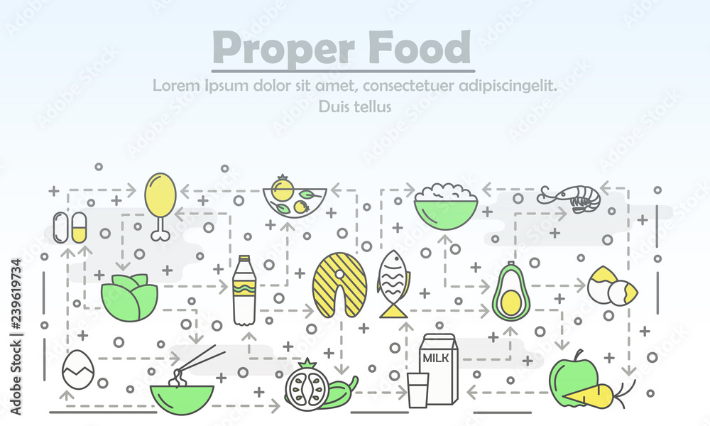Vector thin line art proper food poster banner template