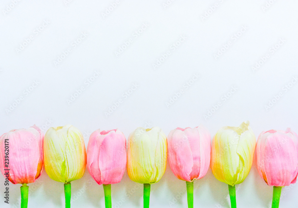 pink and white artificial tulips on white background, copy space