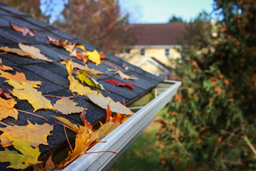 Autumn leaves in a rain gutter on a roof, Shallow focus in foreground