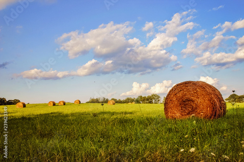Bilde på lerret Rolled hay bale in a field in wisconsin