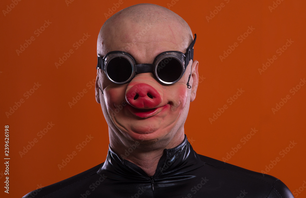 man in pig masks Stock Photo Adobe Stock