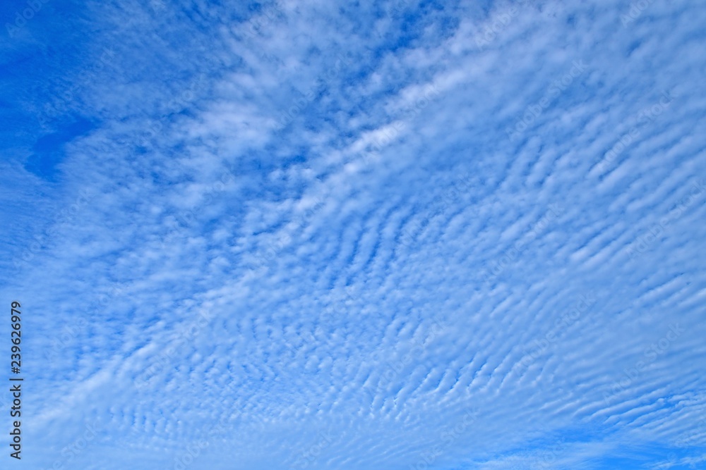 秋の空の情景