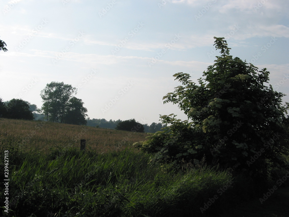 Obraz premium Heidkate Sommer