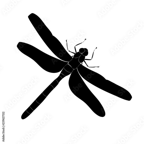 silhouette of a flying dragonfly