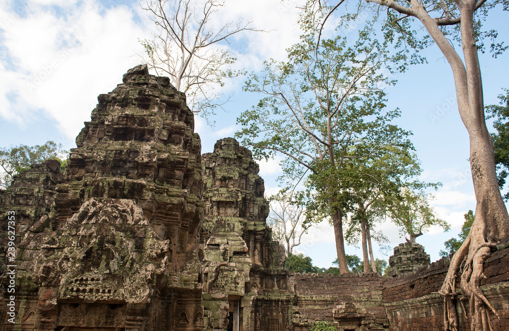 Ta Prohm , Angkor , Cambodia, was inscribed on the UNESCO-WHL 1992. The ancient temple where roots of the jungle trees intertwine with the masonry of these ancient structures producing surreal world. Ta Prohm , Angkor , Cambodia, was inscribed on the UNESCO-WHL 1992. The ancient temple where roots of the jungle trees intertwine with the masonry of these ancient structures producing surreal world.