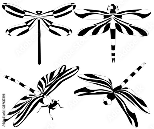 set of black and white flying dragonfly silhouettes