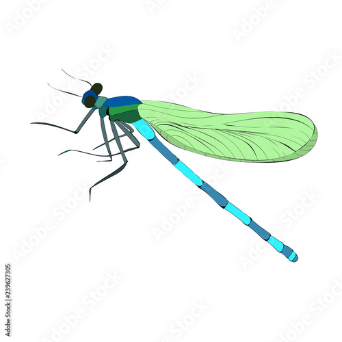 isolated bright flying dragonfly