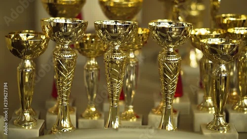 Golden goblets. Champion Achivements. photo