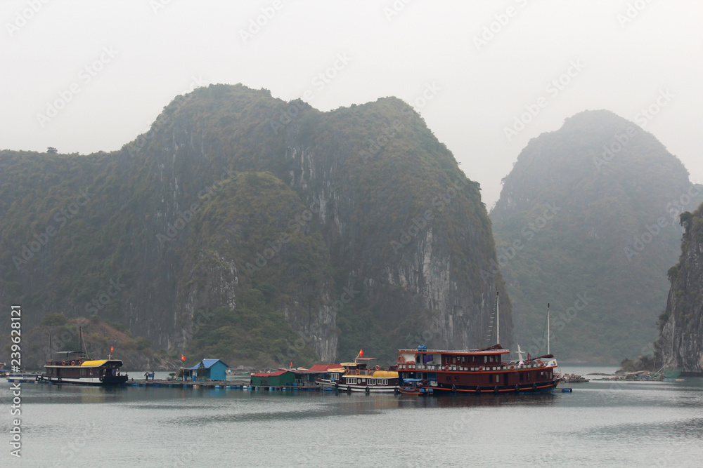 Local fishermen`s boats at Cat Ba island in Ha Long bay, Vietnam - obrazy, fototapety, plakaty 