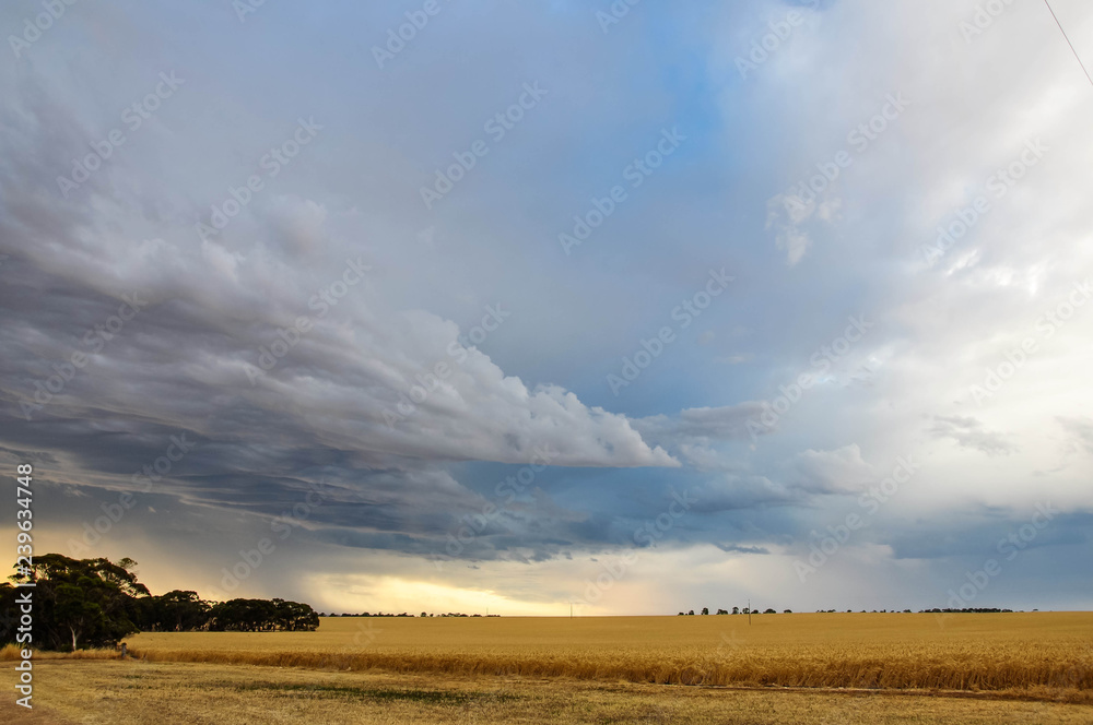 Fototapeta premium Incoming storm