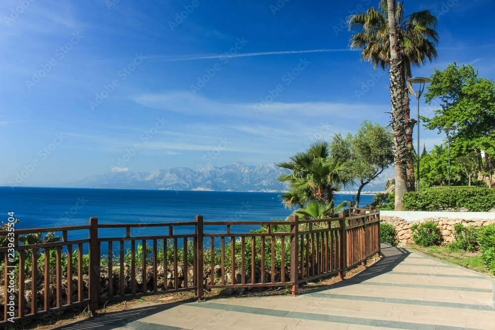 Fototapeta premium seashore with mountain views