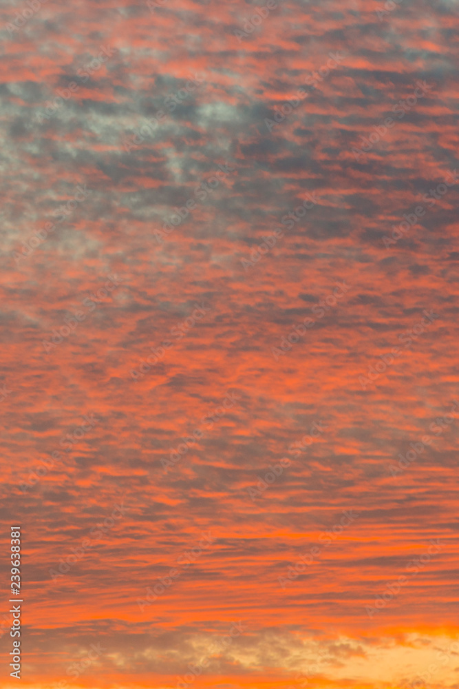 sunset with orange sky. Hot bright vibrant orange and yellow colors sunset sky. sunset with clouds. vertical photo