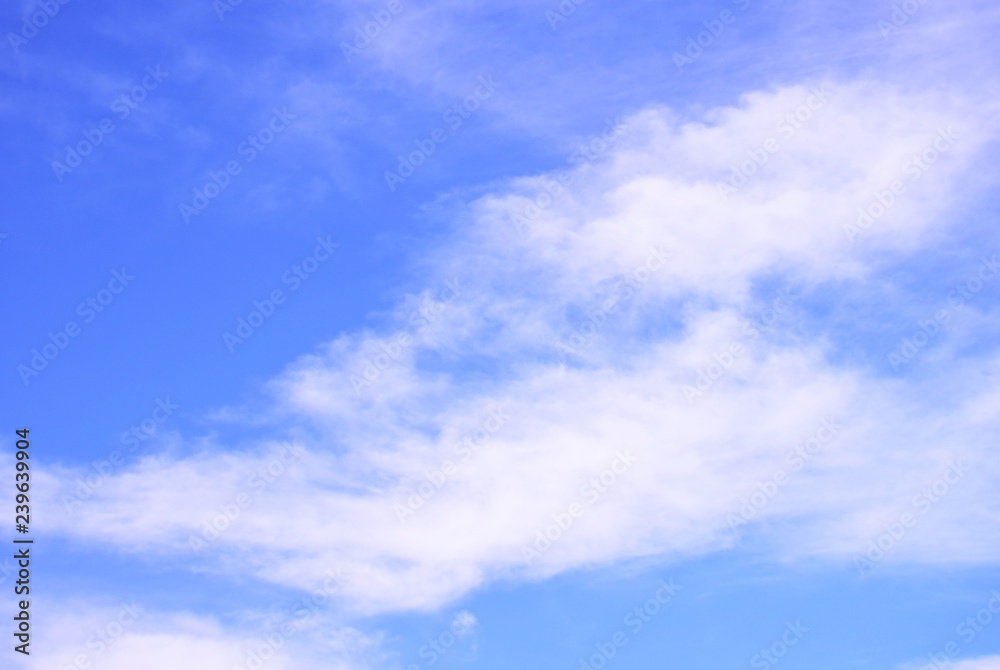 White clounds on blue sky background,use for backdrop or web design,soft focus. White clounds on blue sky background,use for backdrop or web design,soft focus.
