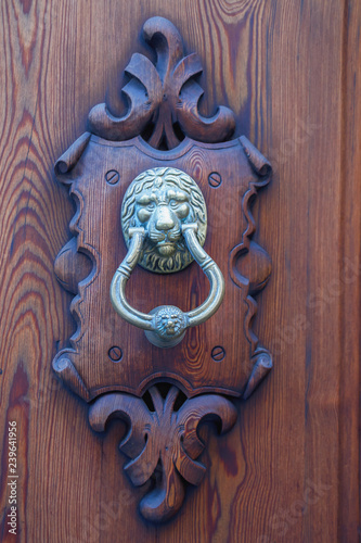 Old metal door handle in the form of a lion's head on a wooden door in the Spanish city of Palma de Mallorca