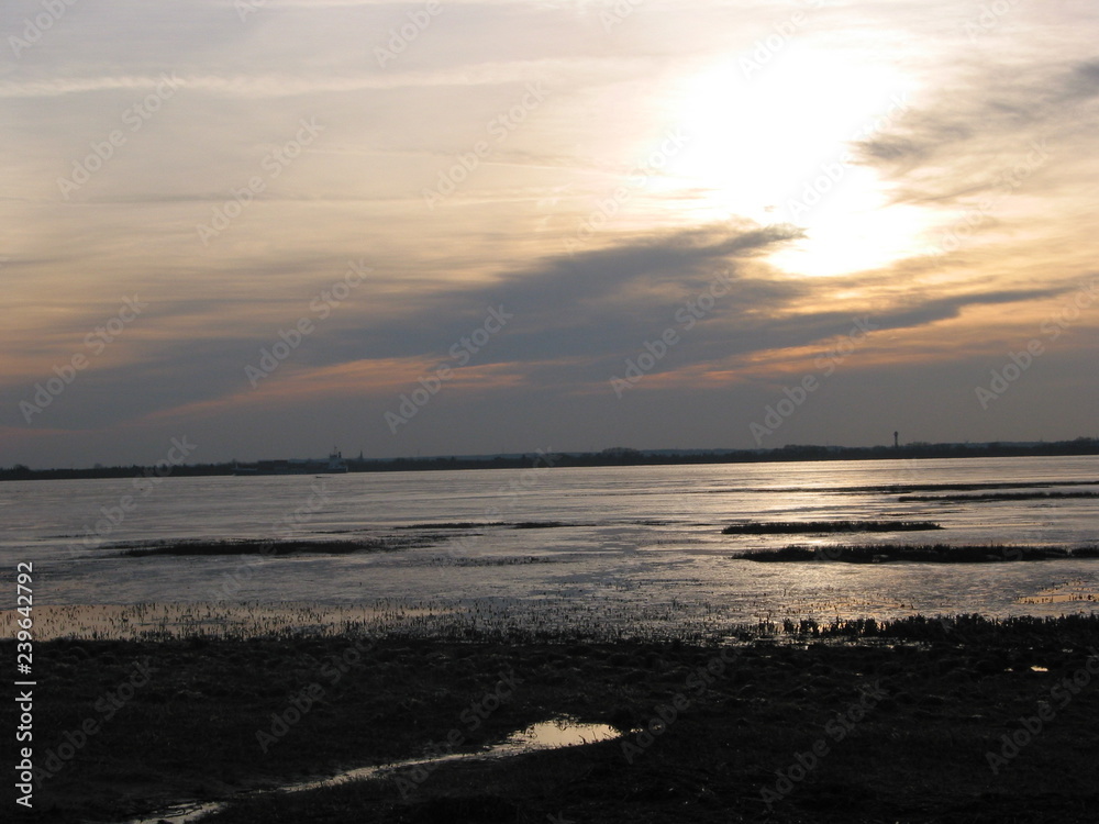 Fototapeta premium Winter an der Elbe in Schleswig-Holstein