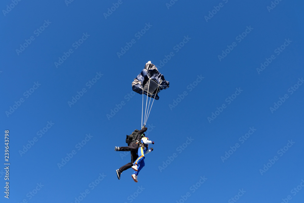 Tandem skydiving. Girl-passenger is having fun in the sky.