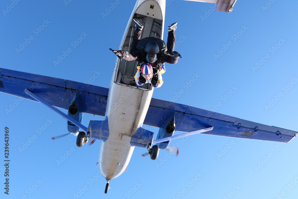 Obraz premium Tandem skydiving. Girl-passenger is having fun in the sky.